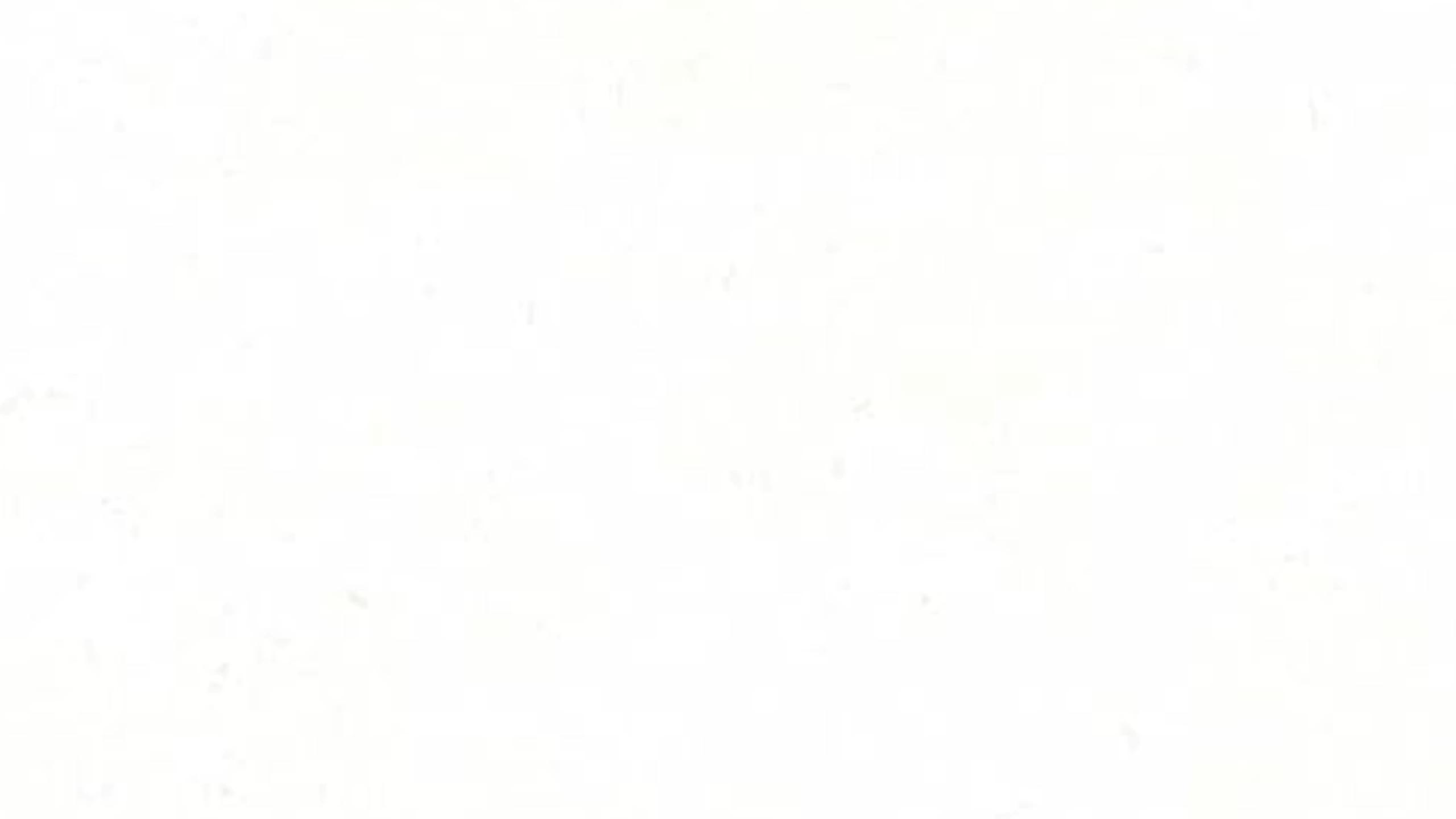 Plain white background with subtle texture or specks.